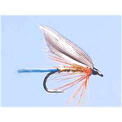 Kingfisher Butcher - Turrall Wet Flies Winged - WW32