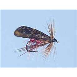 Murrough - Turrall Wet Flies Winged - WW58