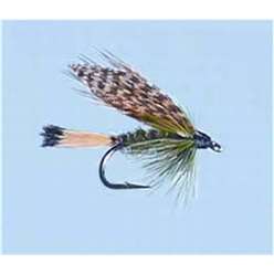 Sooty Olive - Turrall Wet Flies Winged - WW59