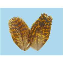 Turrall Feathers and Hackles - Grouse Hackles - GRO01