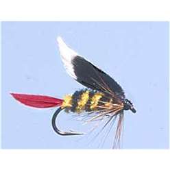 McGinty - Turrall Wet Flies Winged - WW37